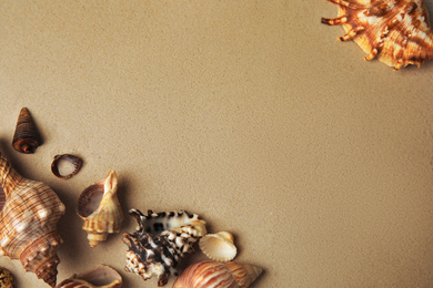 Photo of Different beautiful sea shells on sand, flat lay. Space for text