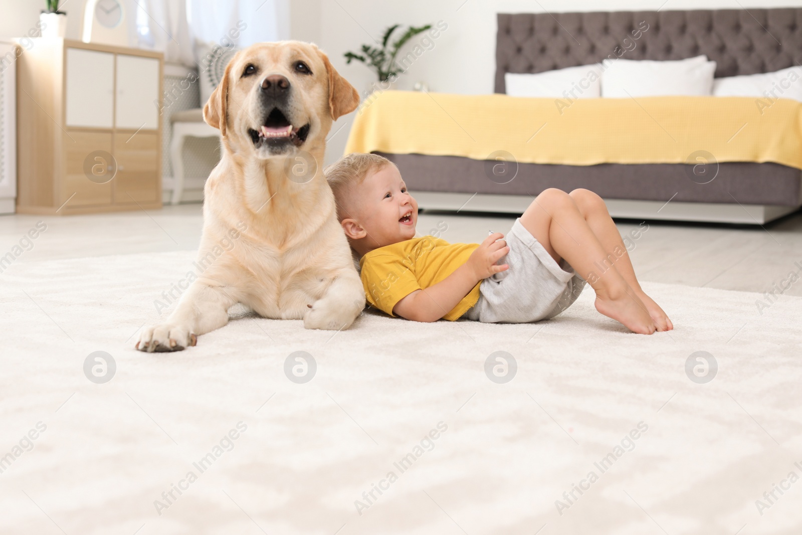 Photo of Adorable yellow labrador retriever and little boy at home