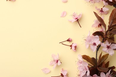 Photo of Spring tree branch with beautiful blossoms, flowers and petals on yellow background, flat lay. Space for text