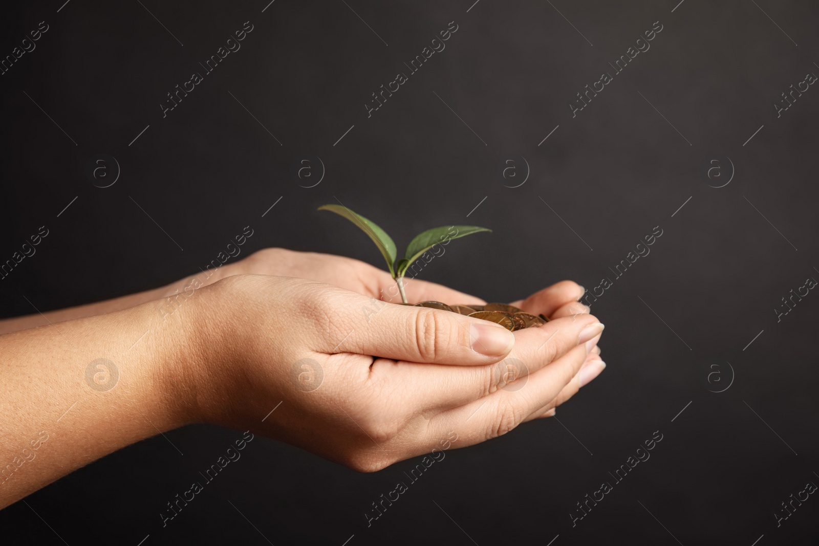 Photo of Woman with coins and green plant on black background, closeup. Money savings