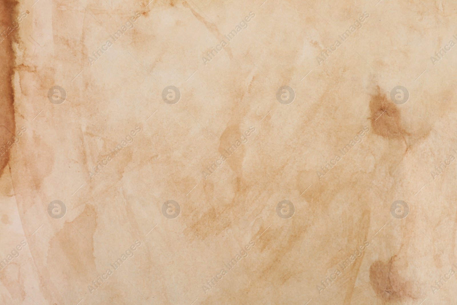 Photo of Sheet of parchment paper as background, top view