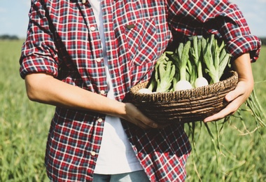 Photo of Woman holding wicker bowl with fresh green onions in field, closeup