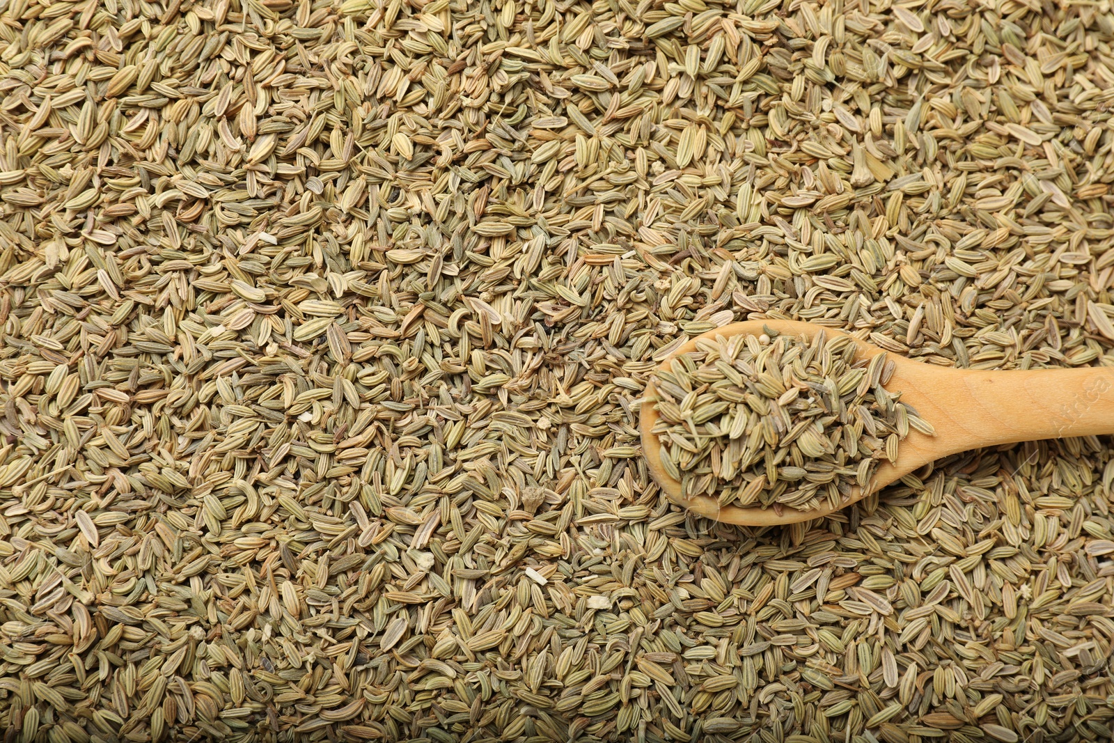 Photo of Heap of fennel seeds and wooden spoon as background, top view. Space for text