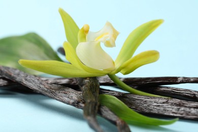 Photo of Vanilla pods, beautiful flower and green leaves on light blue background, closeup