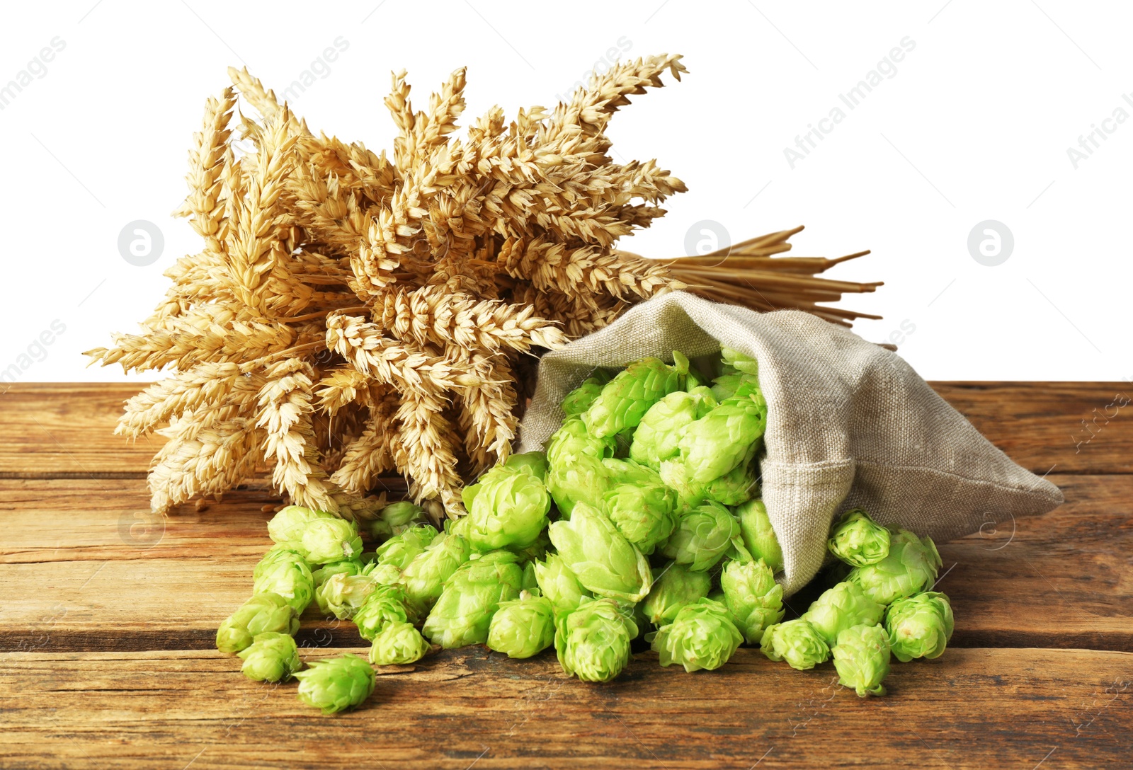 Photo of Overturned sack of hop flowers and wheat ears on wooden table against white background