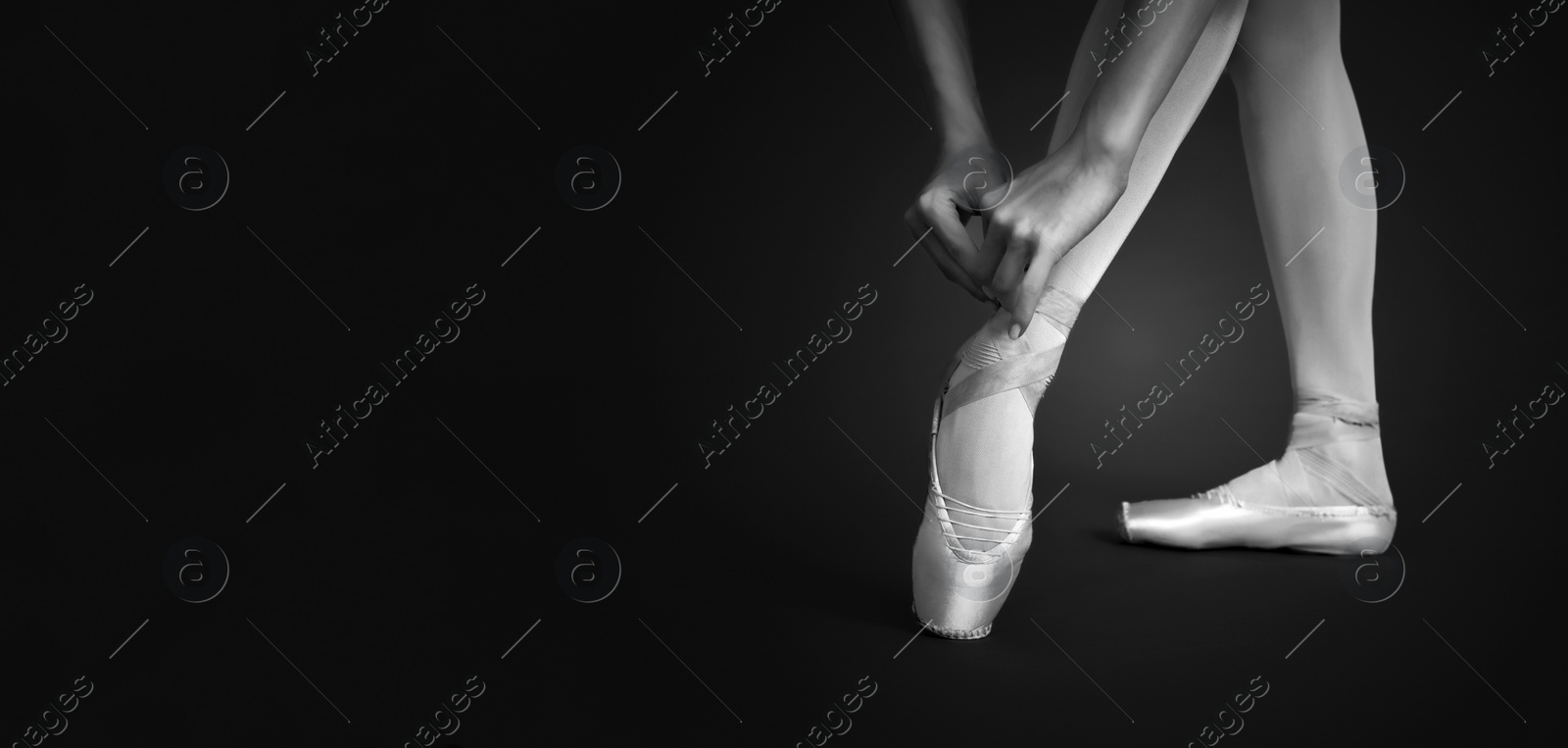 Image of Young ballerina tying pointe shoes, closeup. Black and white effect. Banner design with space for text