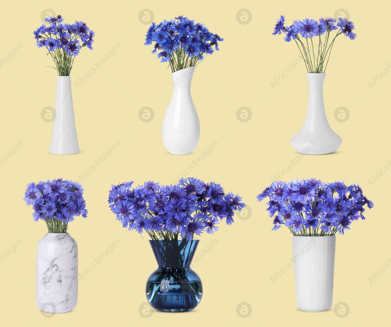 Image of Collage of stylish vases with beautiful cornflower bouquets on pale yellow background