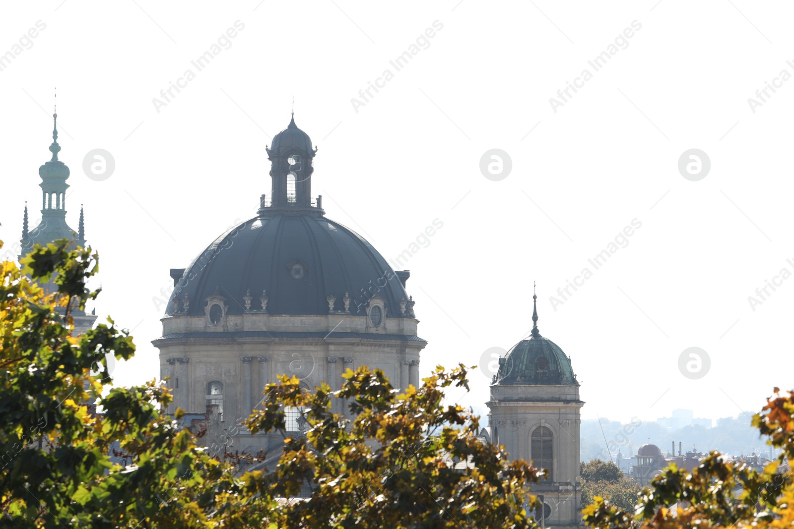 Photo of Beautiful buildings and trees in city under sky