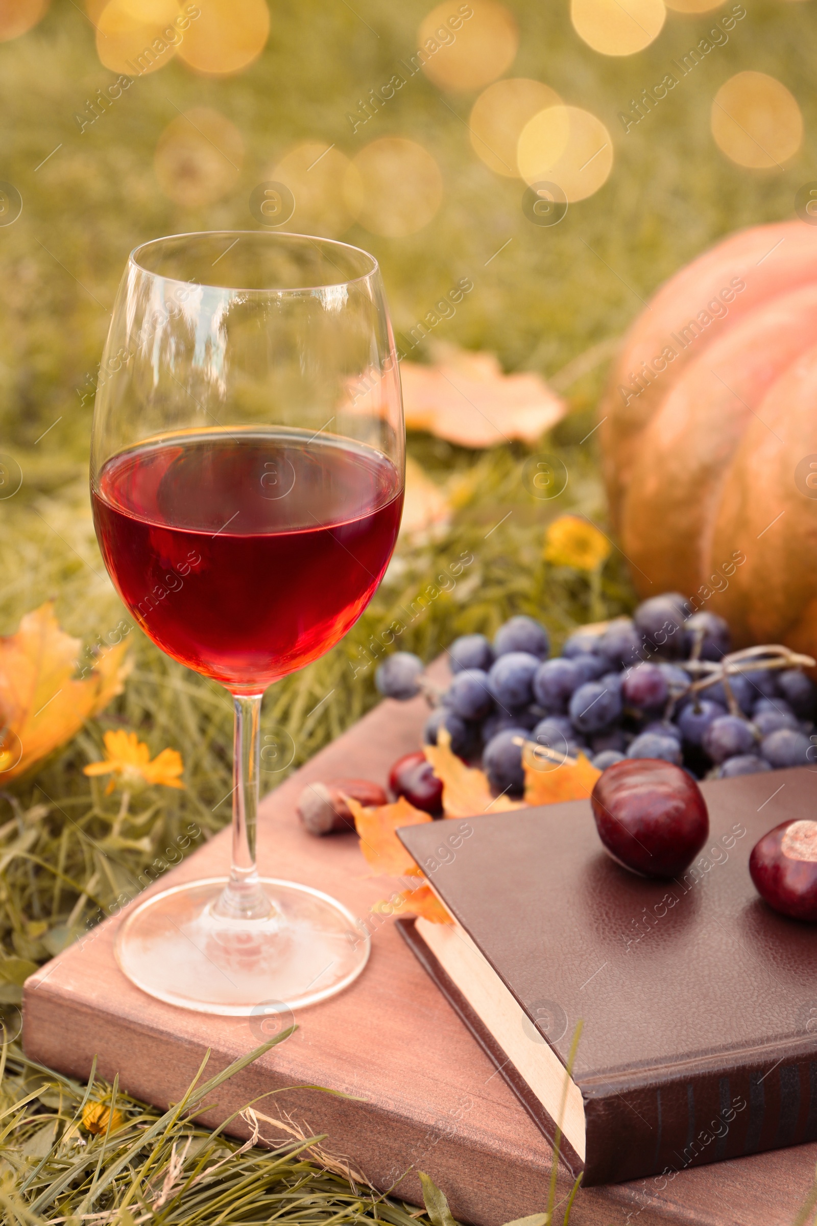 Photo of Glass of wine, book and chestnuts on wooden board outdoors. Autumn picnic