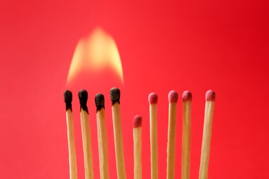 Photo of Burning and whole matches on red background, closeup. Stop destruction concept