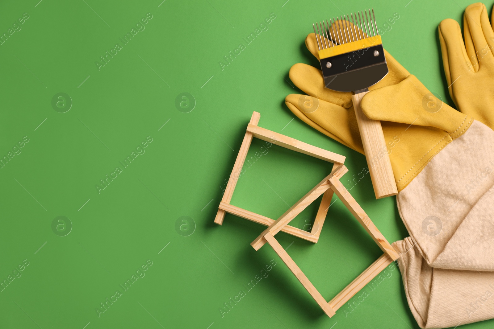 Photo of Beekeeping tools on green background, flat lay. Space for text