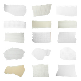 Image of Set of different ripped notebook papers on white background
