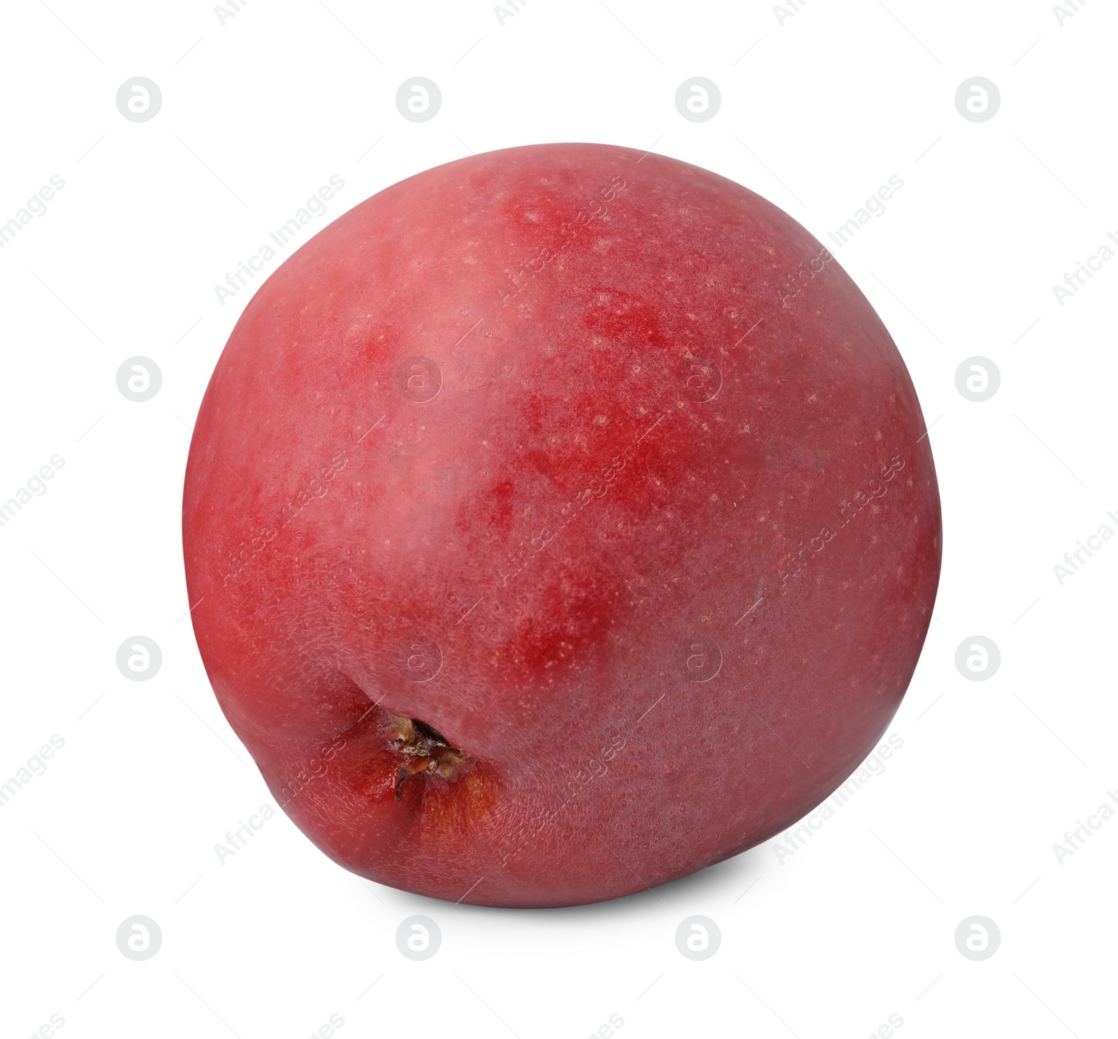 Photo of Whole ripe red apple isolated on white