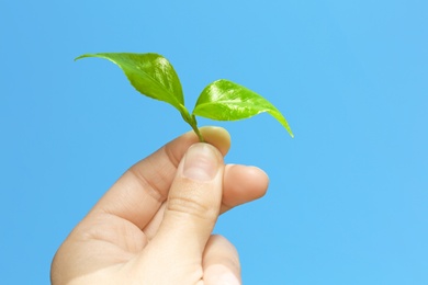 Photo of Woman holding green leaves of tea plant against blue sky