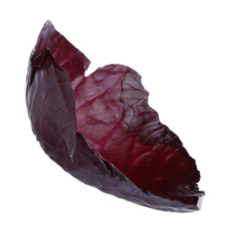 Leaf of red cabbage isolated on white