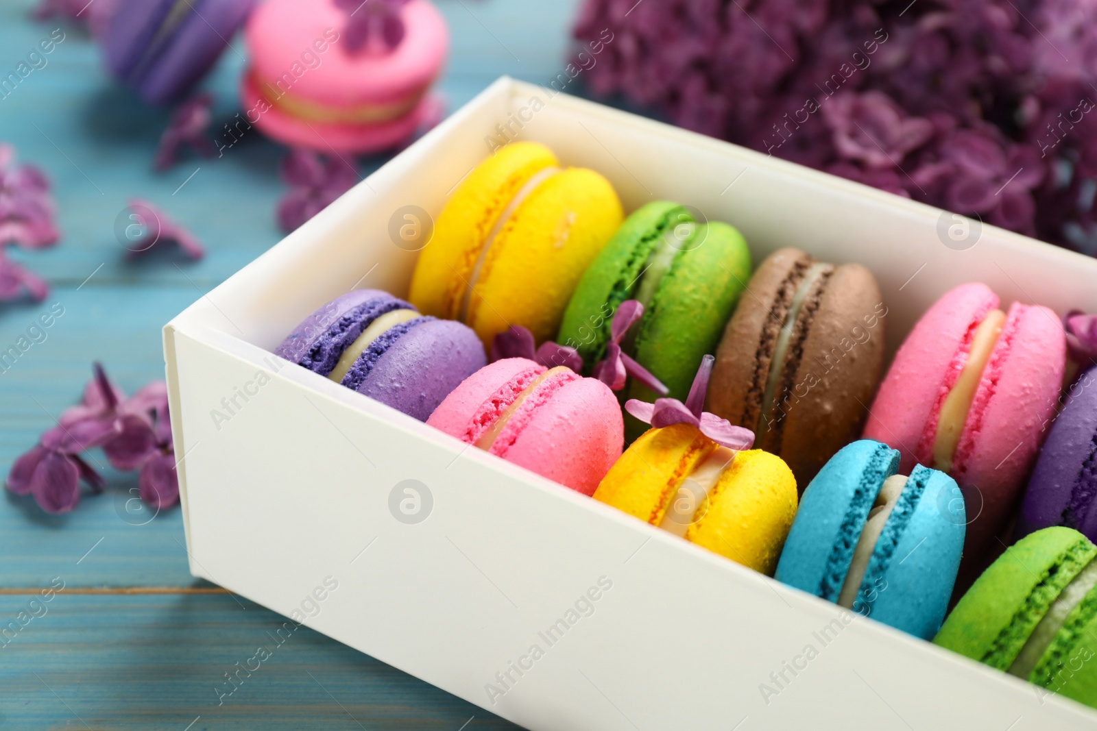 Photo of Delicious colorful macarons and flowers on light blue wooden table, closeup