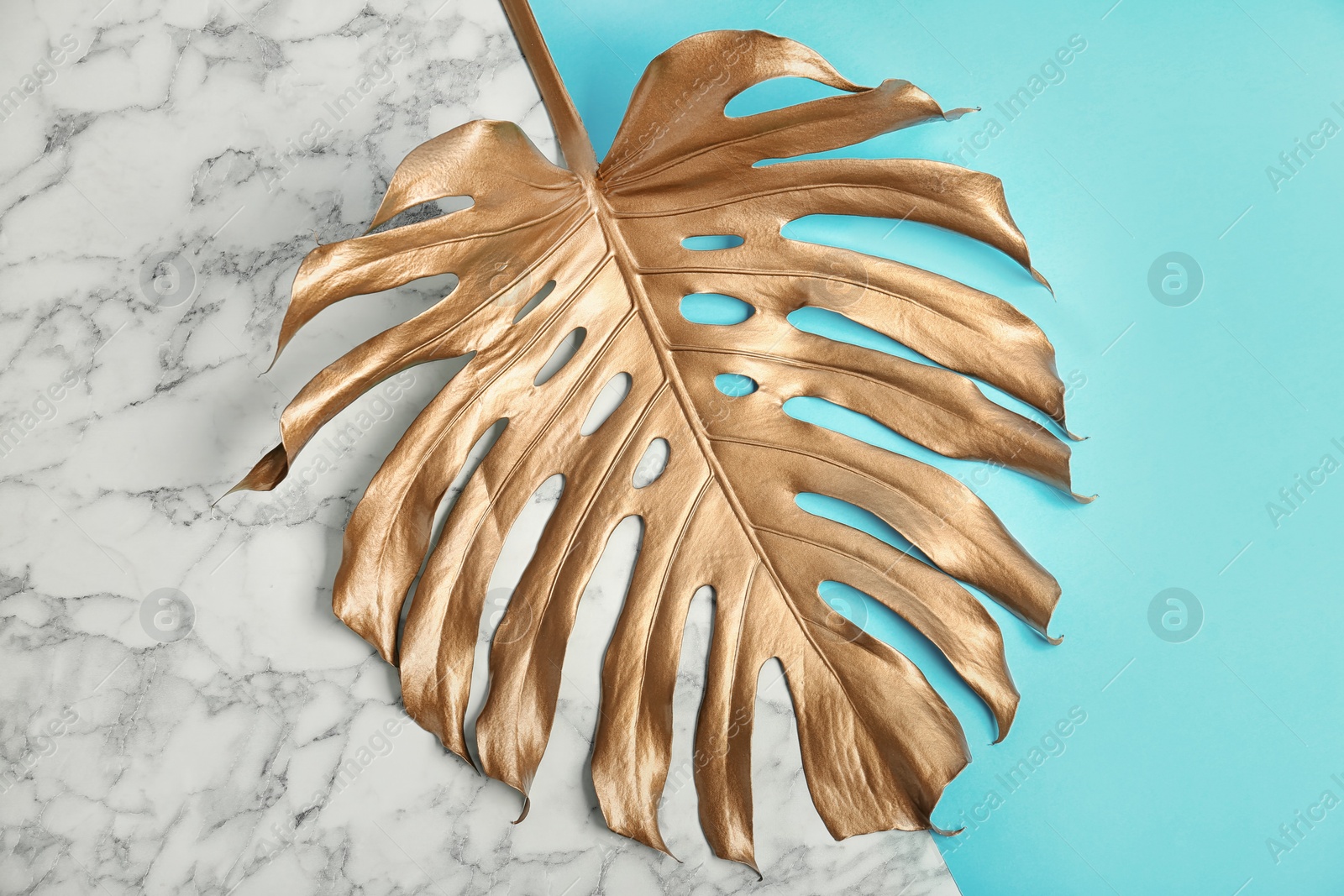 Photo of Painted tropical Monstera leaf on color background, top view