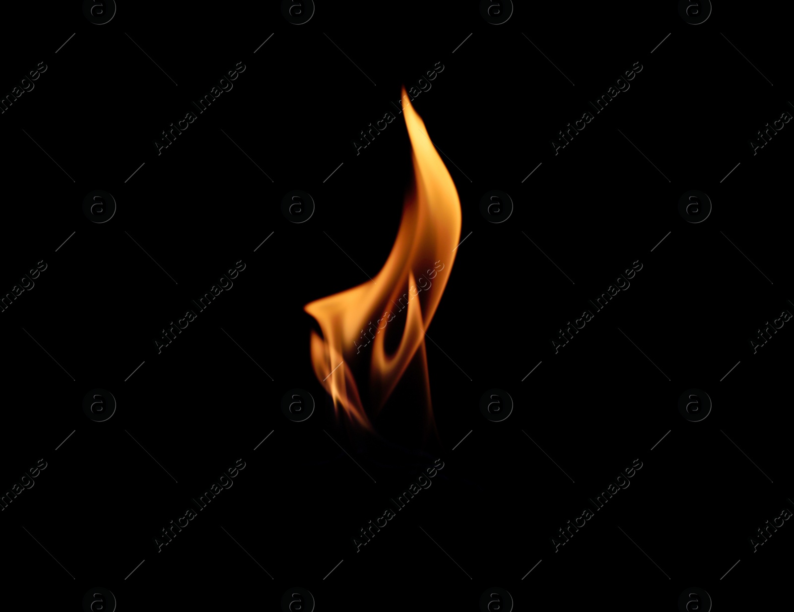 Photo of Beautiful bright fire flames on black background