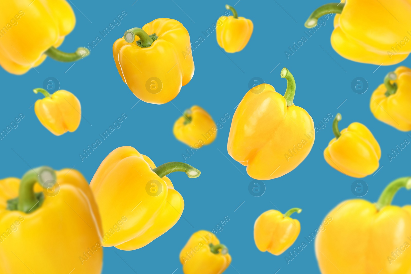 Image of Whole yellow bell peppers falling on blue background