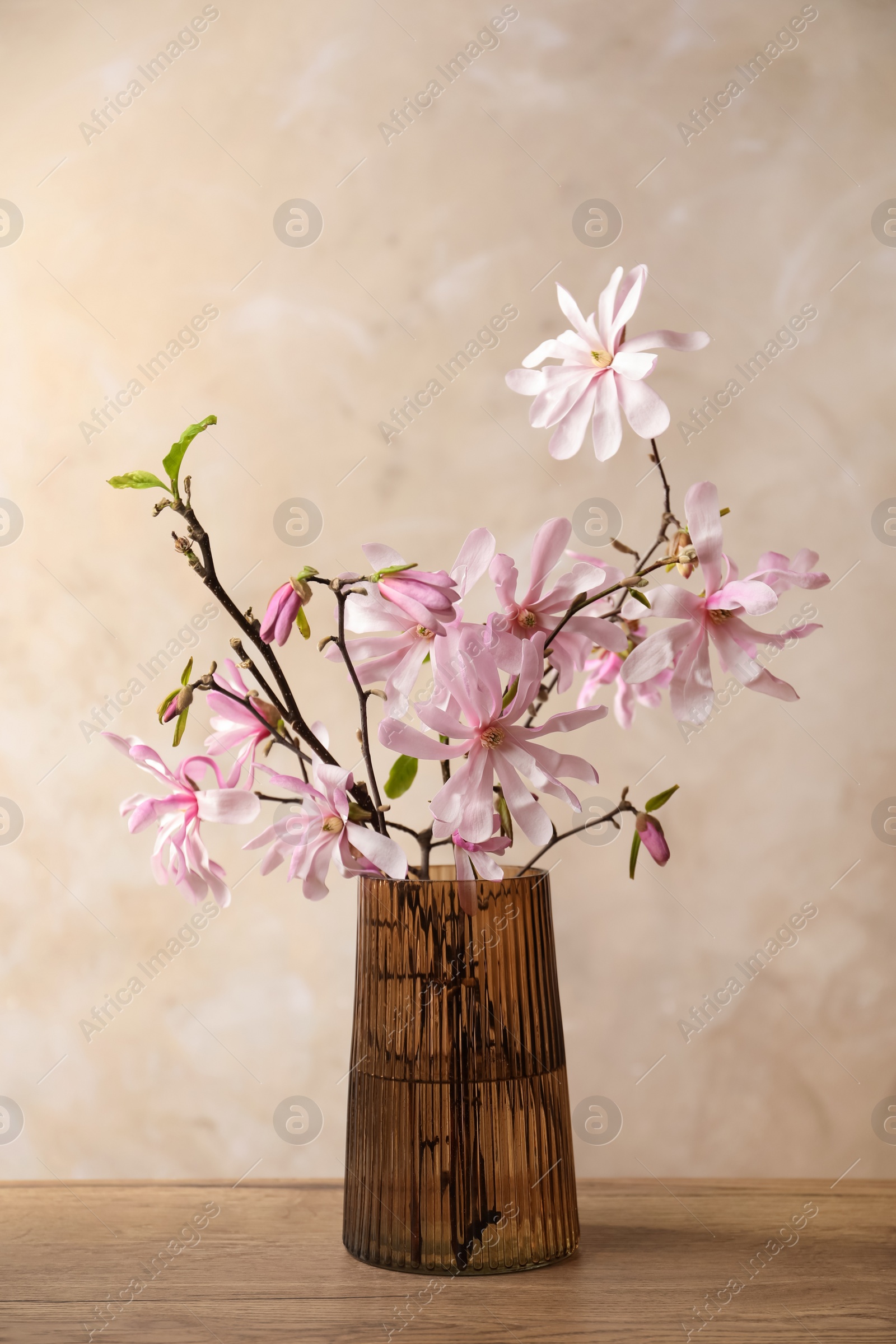 Photo of Magnolia tree branches with beautiful flowers in glass vase on wooden table against beige background