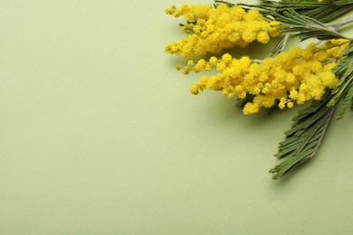 Beautiful mimosa flowers on green background, flat lay. Space for text