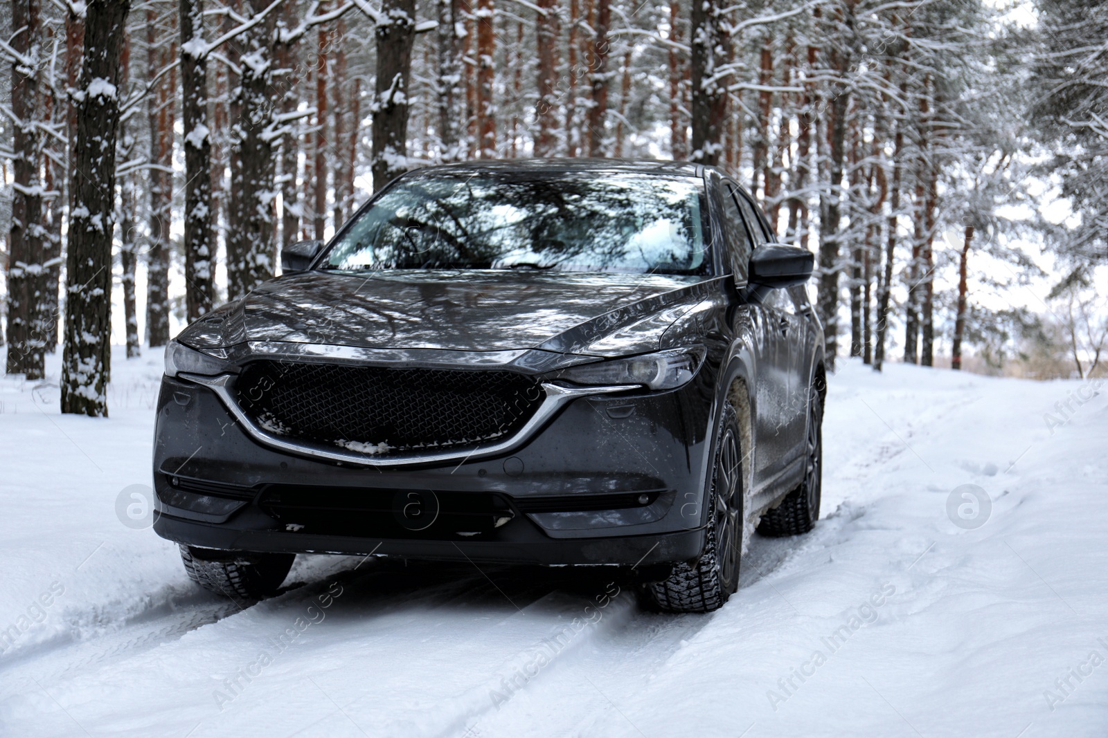 Photo of Snowy country road with car on winter day