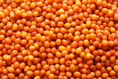 Heap of fresh ripe sea buckthorn berries as background, top view