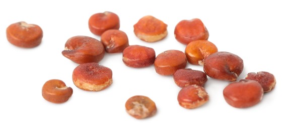 Pile of raw red quinoa seeds on white background. Vegetable planting