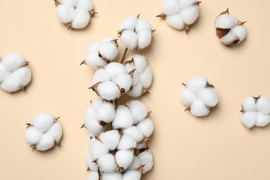 Beautiful cotton branch with fluffy flowers on beige background, flat lay