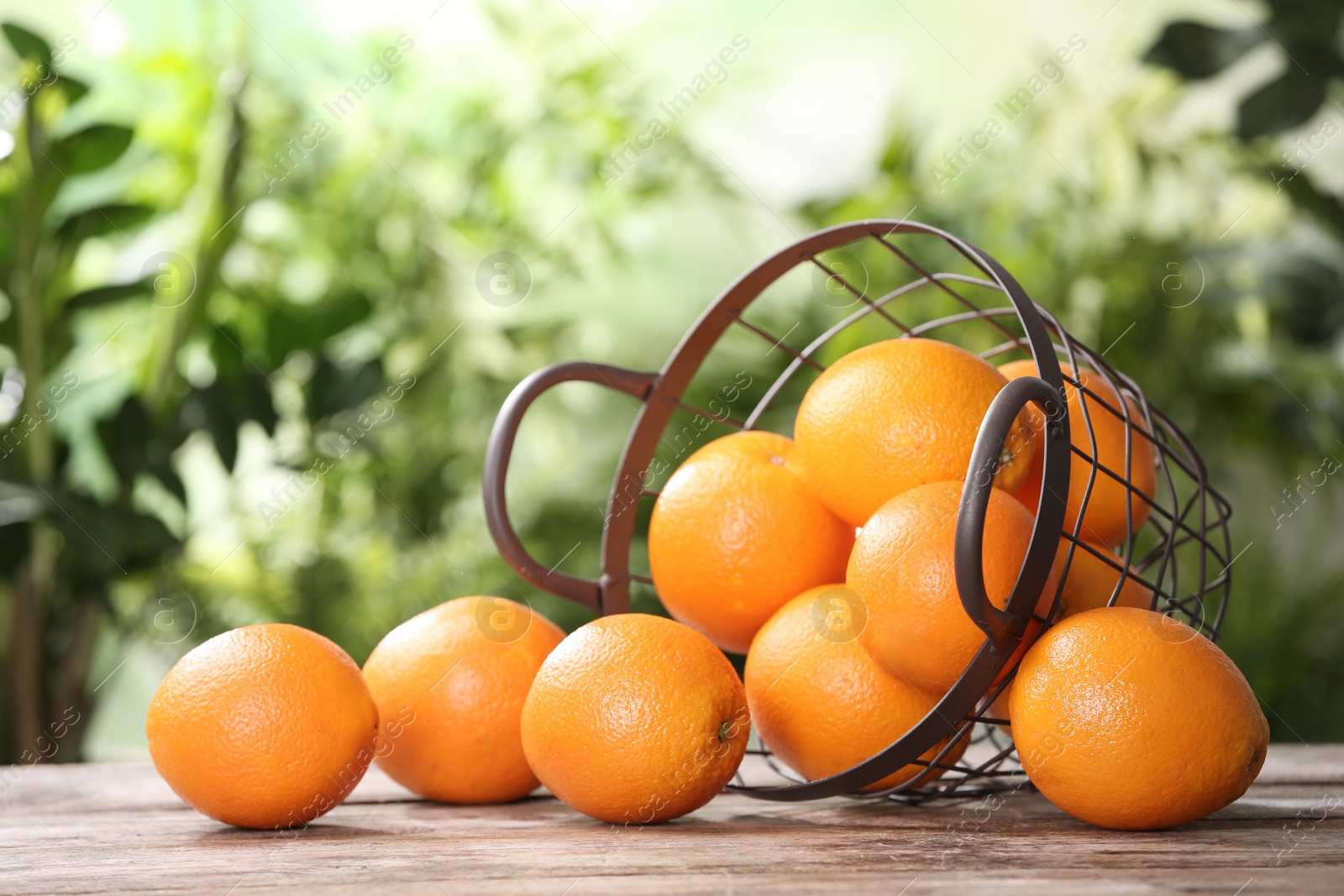 Photo of Basket and fresh oranges on wooden table. Space for text