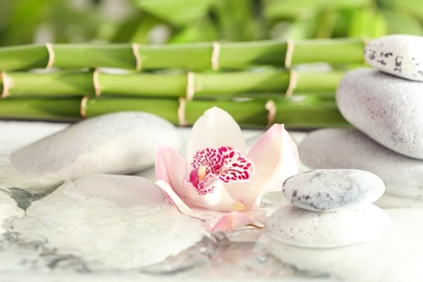 Photo of Orchid with spa stones and bamboo branches in water