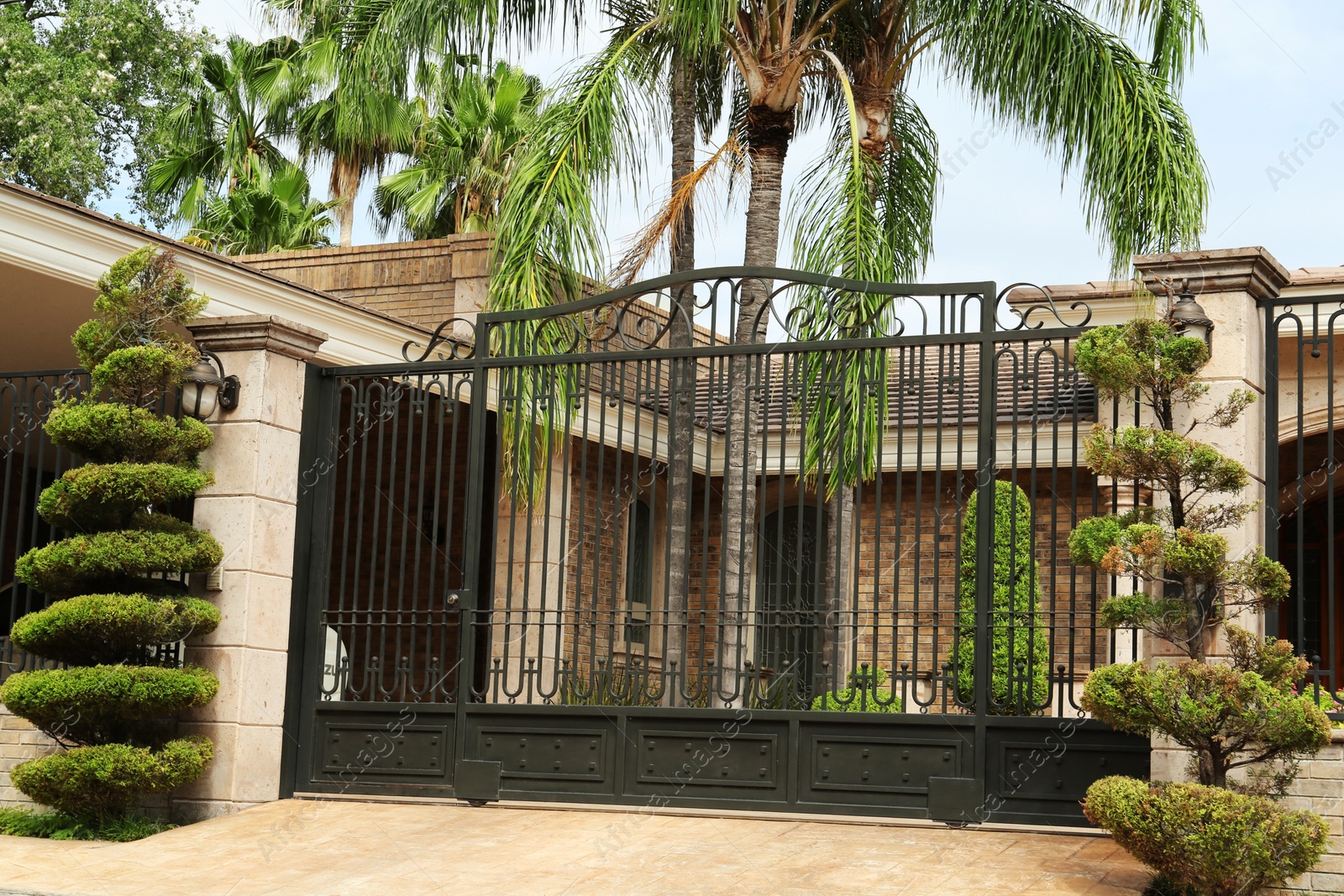 Photo of Black metal gates near building and palm tree