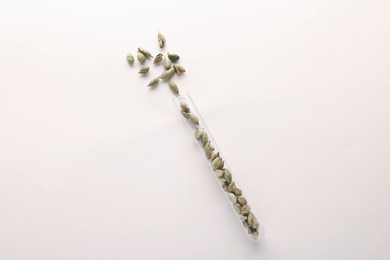 Photo of Glass tube with cardamom on white background, top view