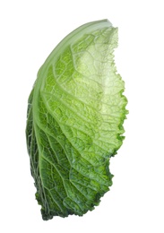 Photo of Leaf of fresh savoy cabbage isolated on white