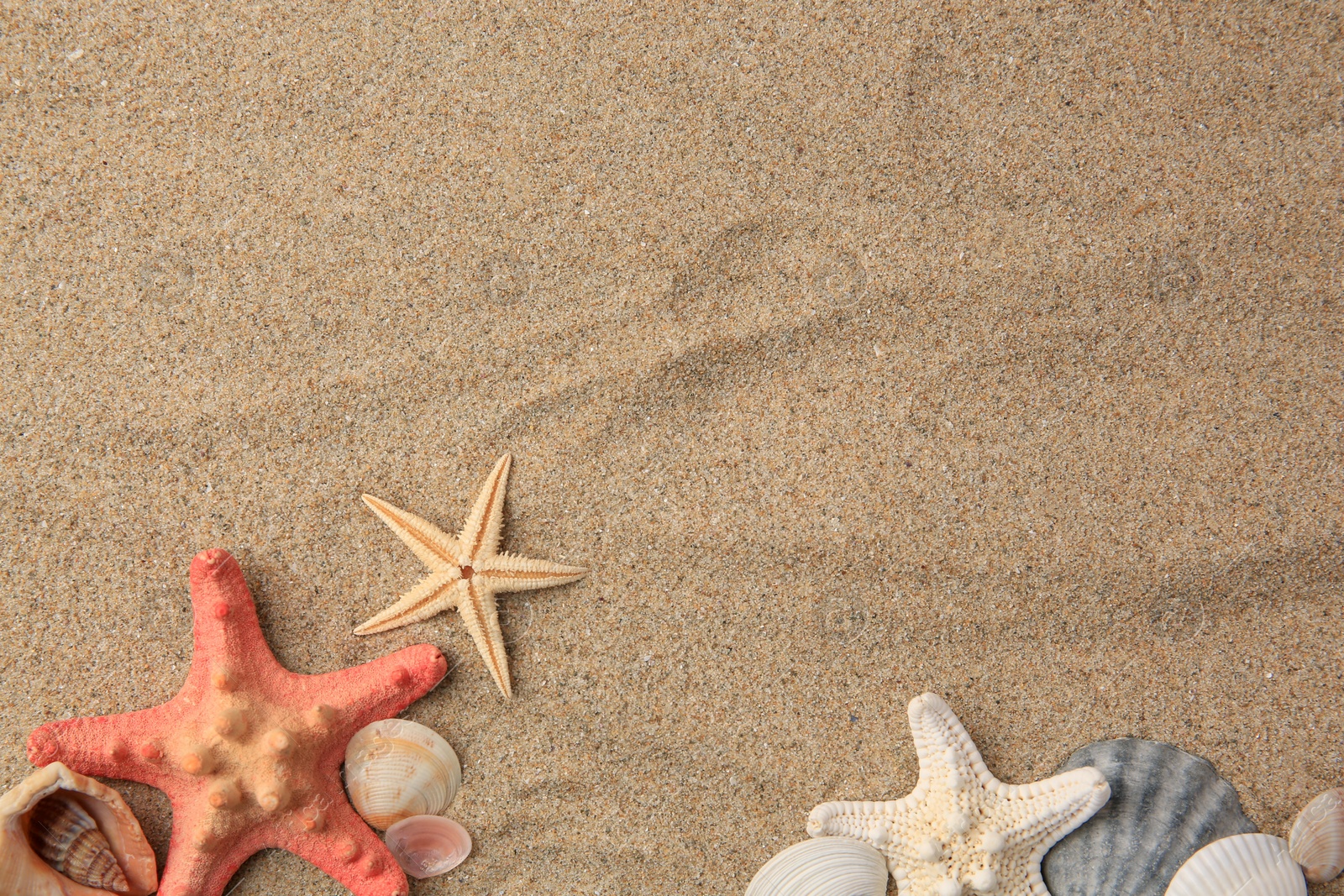 Photo of Beautiful sea stars and shells on sand, flat lay. Space for text