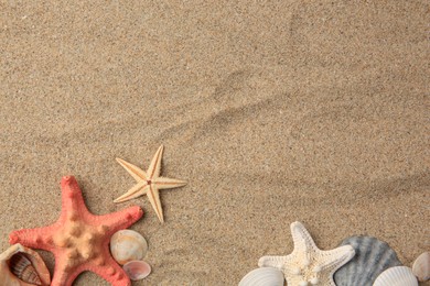 Photo of Beautiful sea stars and shells on sand, flat lay. Space for text