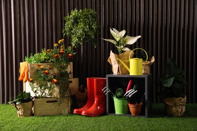 Beautiful plants, gardening tools and accessories on green grass near wood slat wall