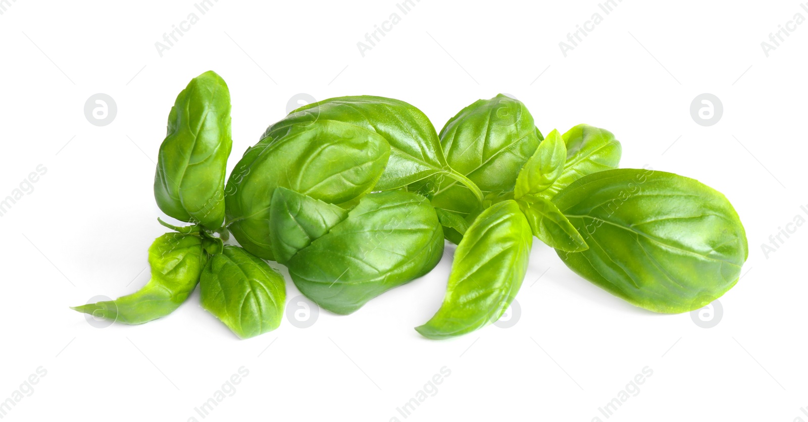 Photo of Fresh green basil leaves isolated on white