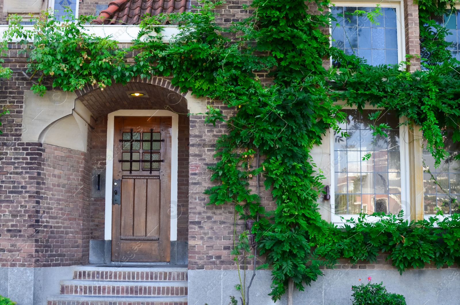 Photo of Brick building overgrown with green creeper plant outdoors