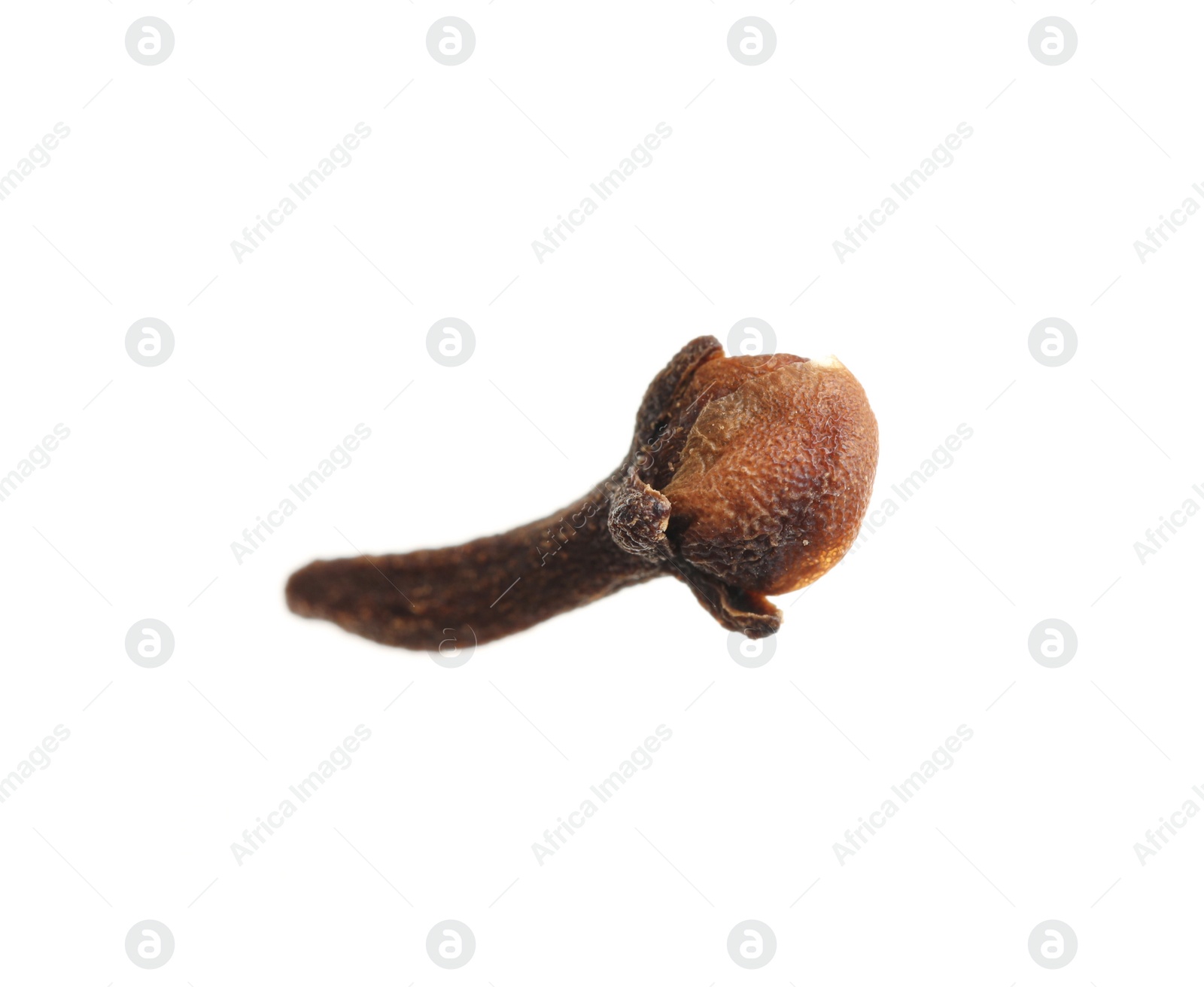 Photo of Dry clove isolated on white. Mulled wine ingredient