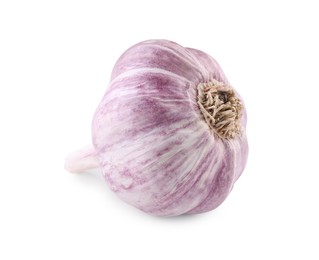 Photo of Fresh raw garlic head isolated on white