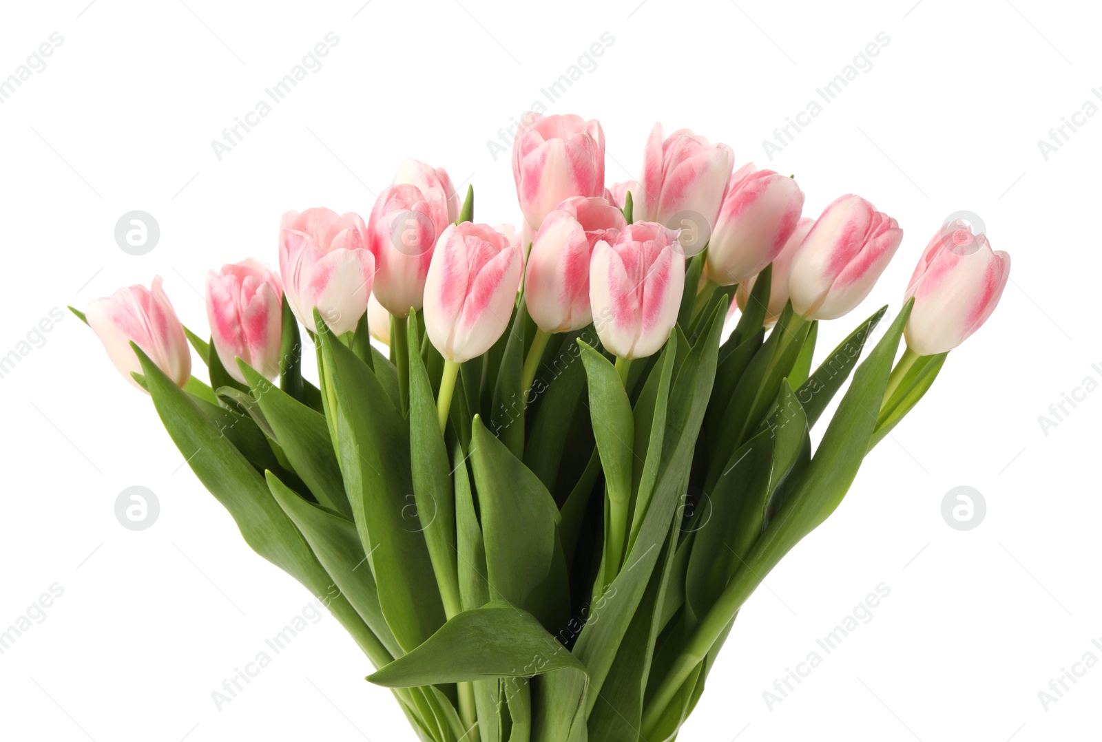 Photo of Bouquet of beautiful tulips isolated on white