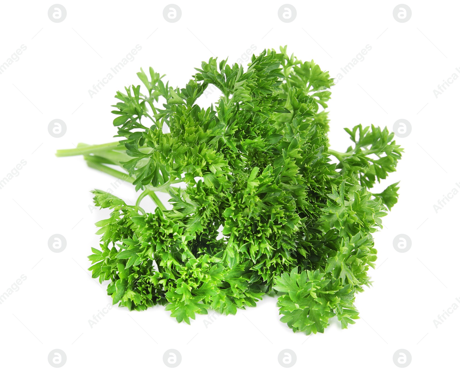 Photo of Fresh green organic parsley on white background