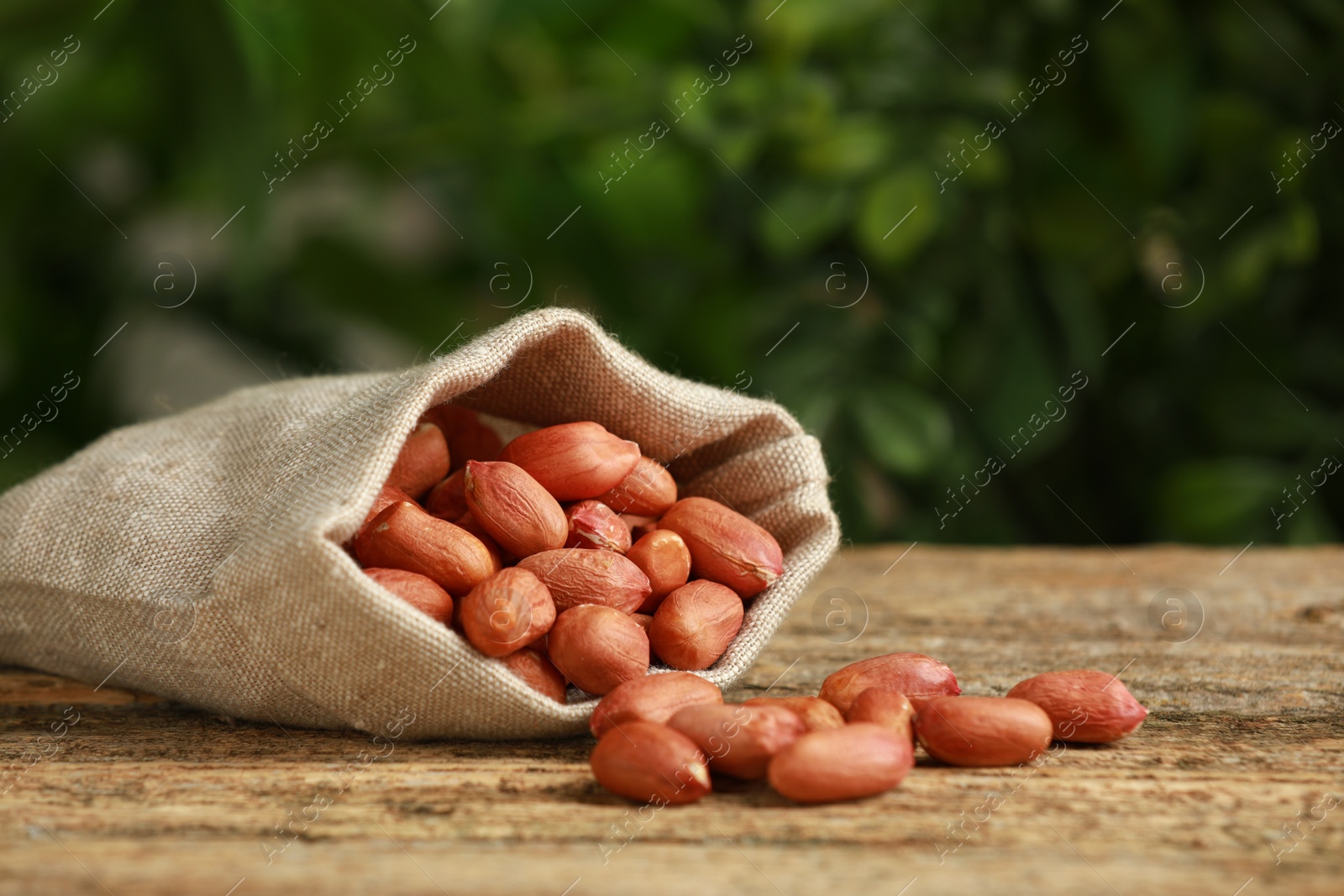 Photo of Fresh unpeeled peanuts in sack on wooden table against blurred background