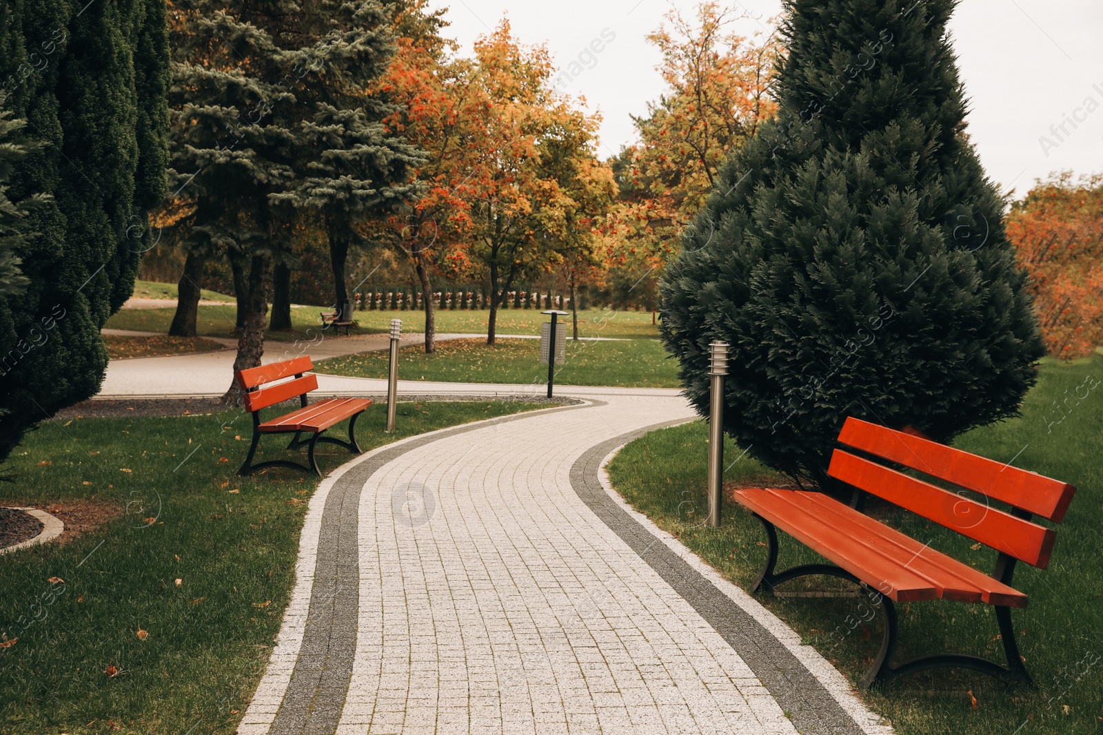 Photo of Winding pathway with beautiful bushes and benches in park