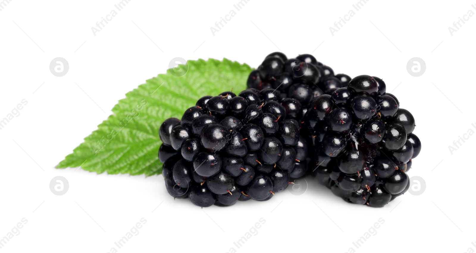 Photo of Tasty ripe blackberries and green leaf isolated on white