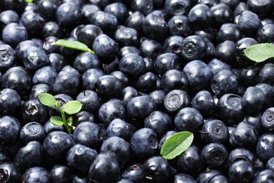 Photo of Many delicious ripe bilberries and green leaves as background, closeup