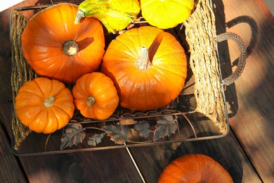 Photo of Many different ripe orange pumpkins on wooden table, flat lay