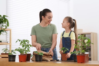 Mother and daughter planting seedlings into pot together at wooden table in room