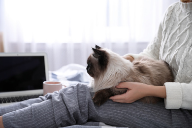 Photo of Woman with her cute Balinese cat on bed at home, closeup. Fluffy pet